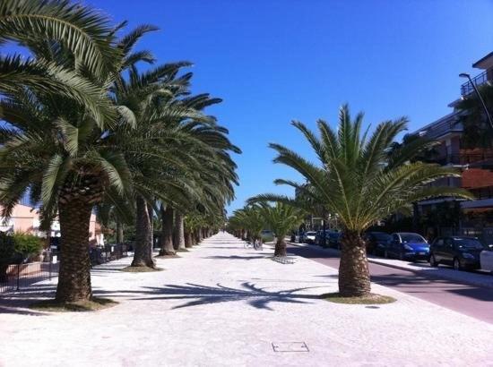 Il Corallo San Benedetto del Tronto